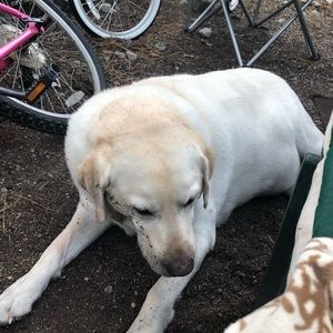 Meet your Posher, Jill